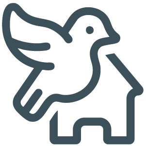 SPIA Events – Vogelhaus Workshop